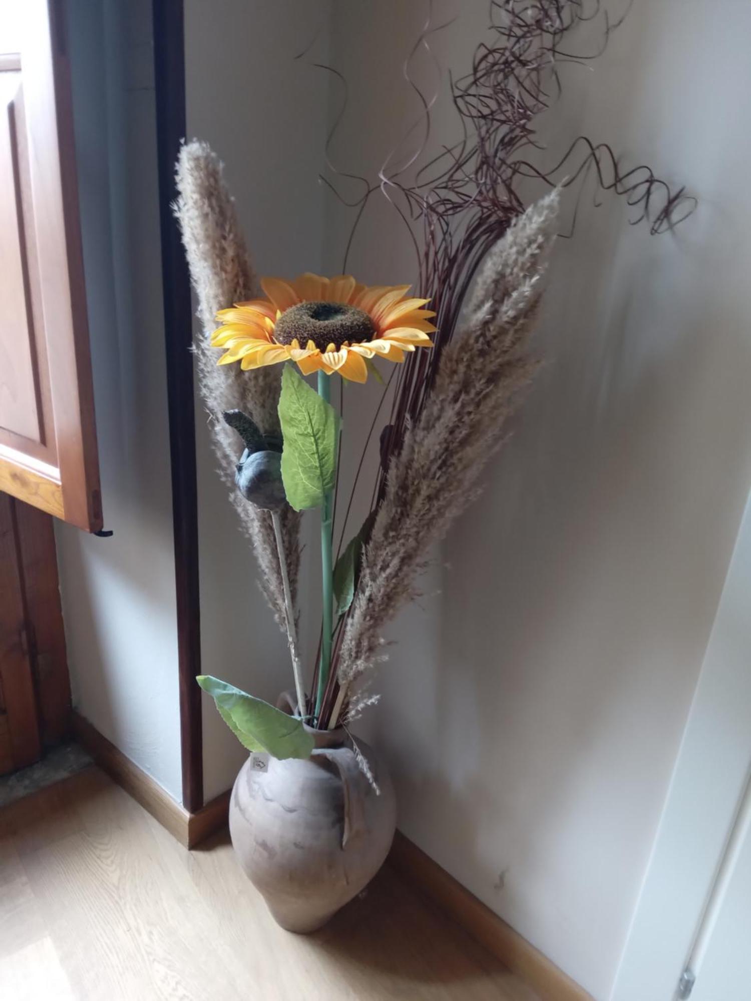 San Nicolo Holiday Home มอนตาลบาโน เอลิโคนา ภายนอก รูปภาพ